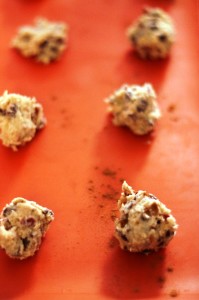 Oatmeal Chocolate Chip Cookie Dough 