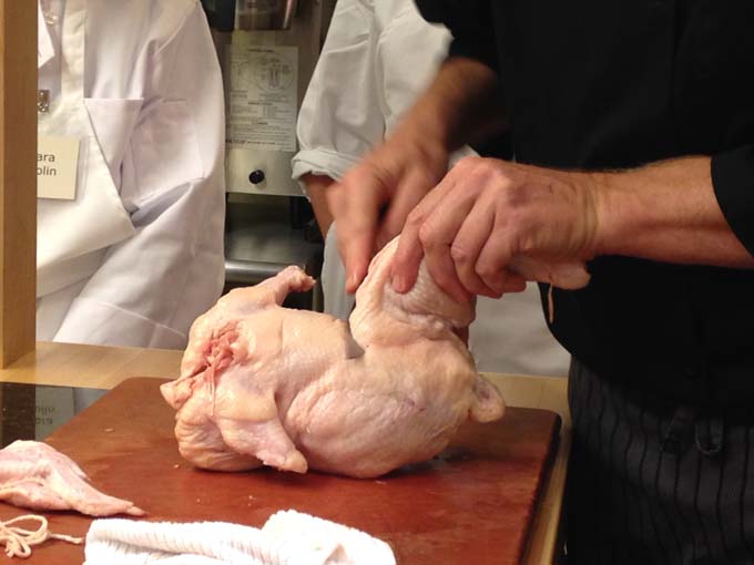 How to Butcher a Chicken