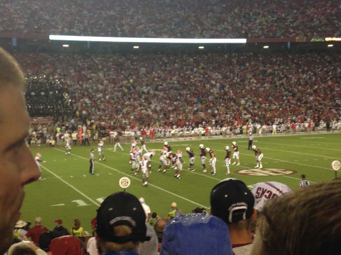 Williams-Brice Stadium