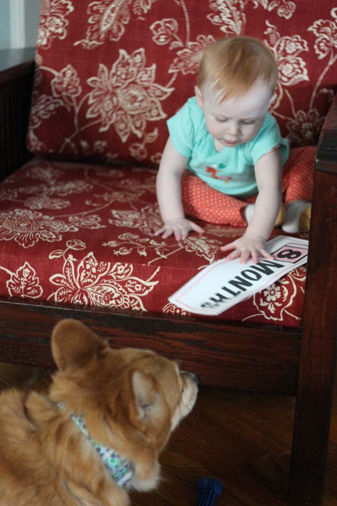 A Baby and Her Corgi