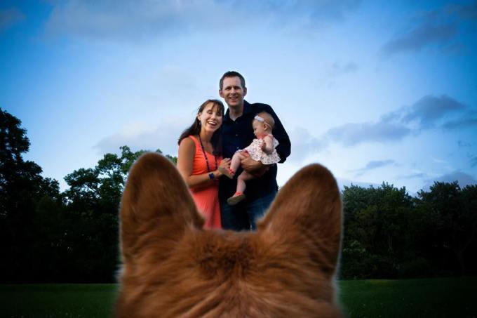 Family through a corgi's eyes