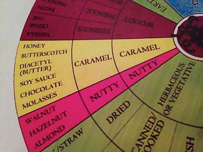 Wine Tasting Wheel