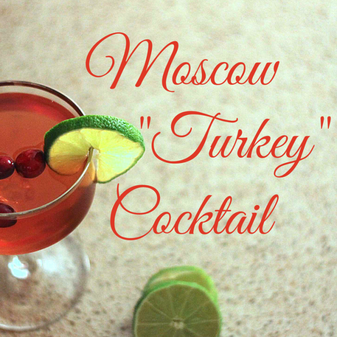 Christmas Cocktail Moscow Mule 