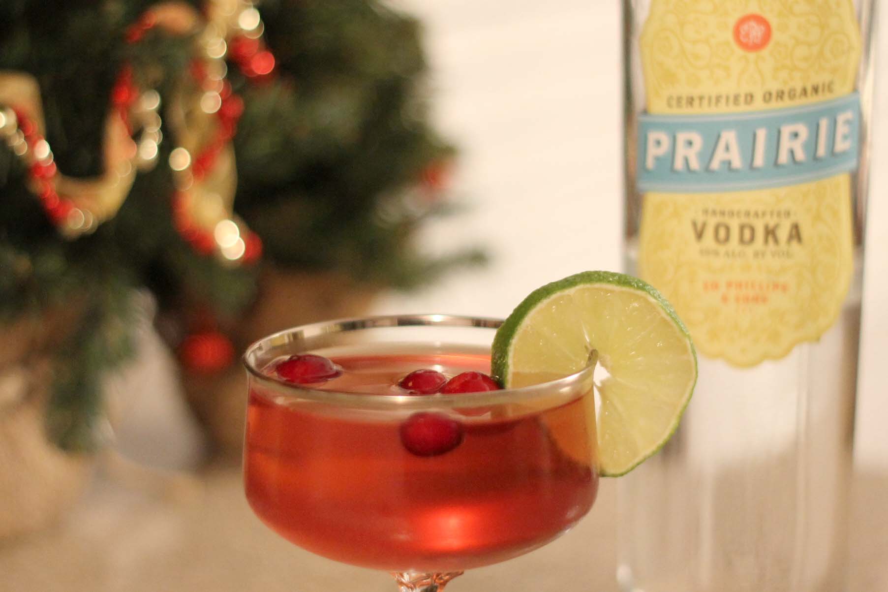 Cranberry Vodka Cocktail