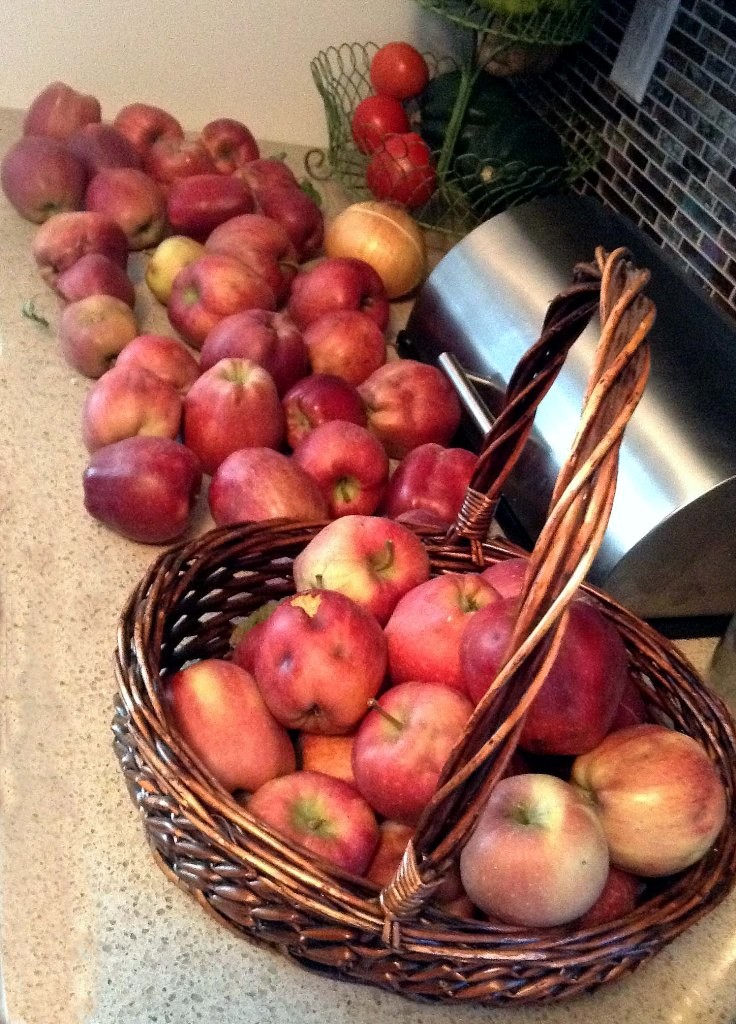 Apples from Wisconsin