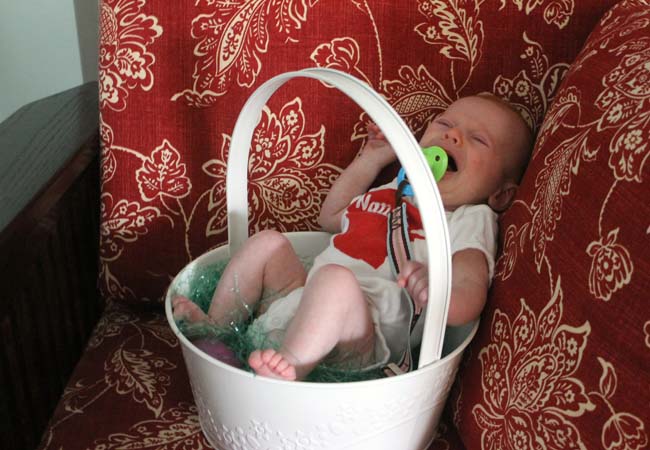 Baby in an Easter basket