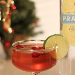 Cranberry Vodka Cocktail